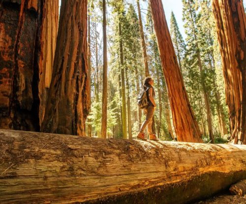 11most beautiful national parks in the US