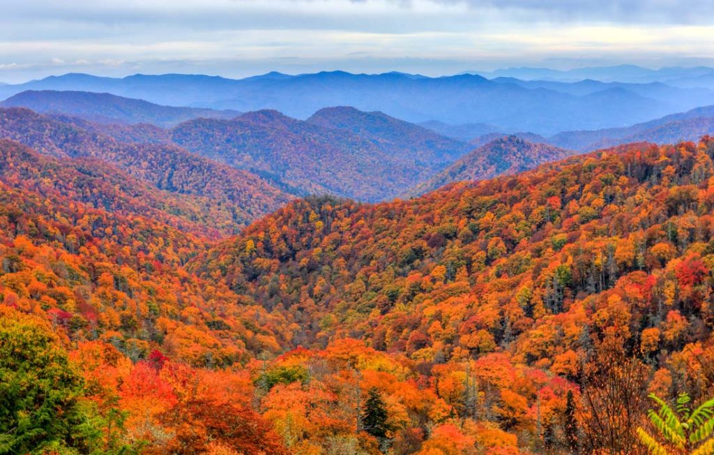 most beautiful national parks in the US - The Great Smoky Mountains