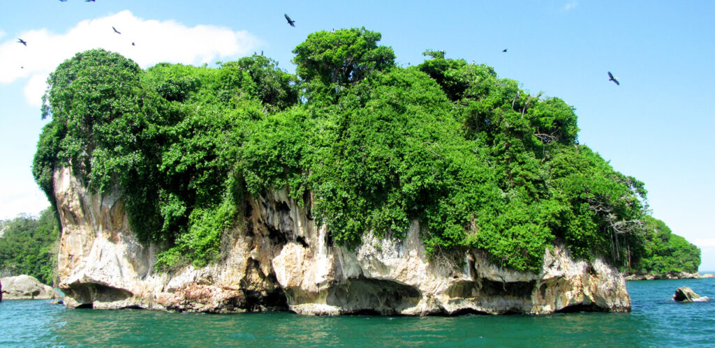 Unique things to do in Punta Cana - Los Haitises National Park