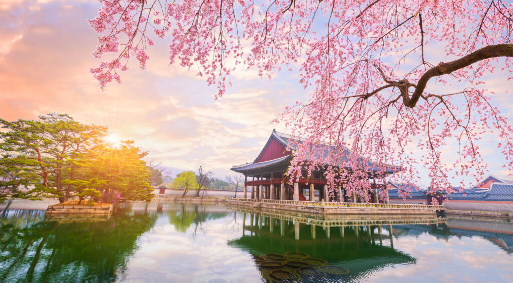 Best Places to Visit in Asia - South Korea