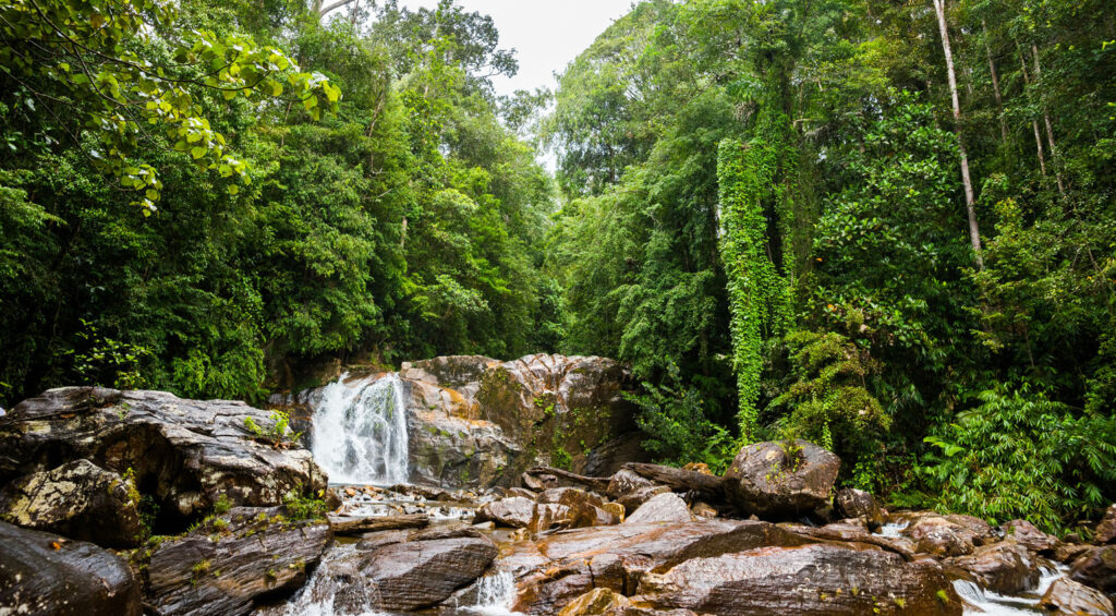 Best Places to Visit in Sri Lanka - Sinharaja Forest Reserve 