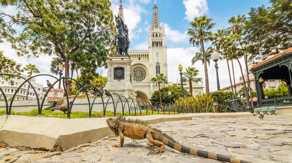Parque Seminario (Iguana Park)