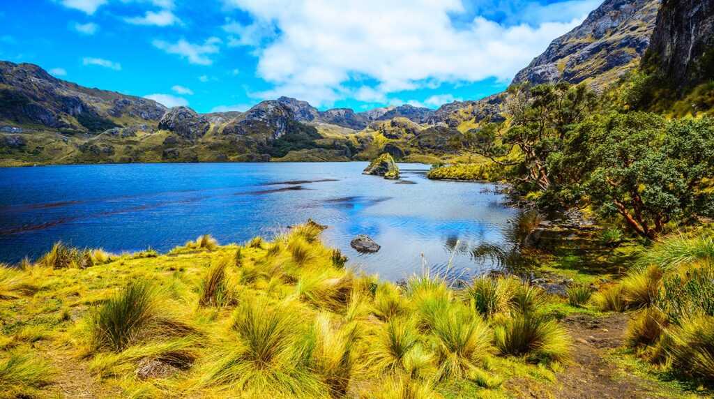 Cajas National Park