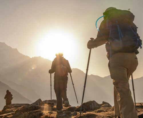 11Mardi Himal Trek 2025