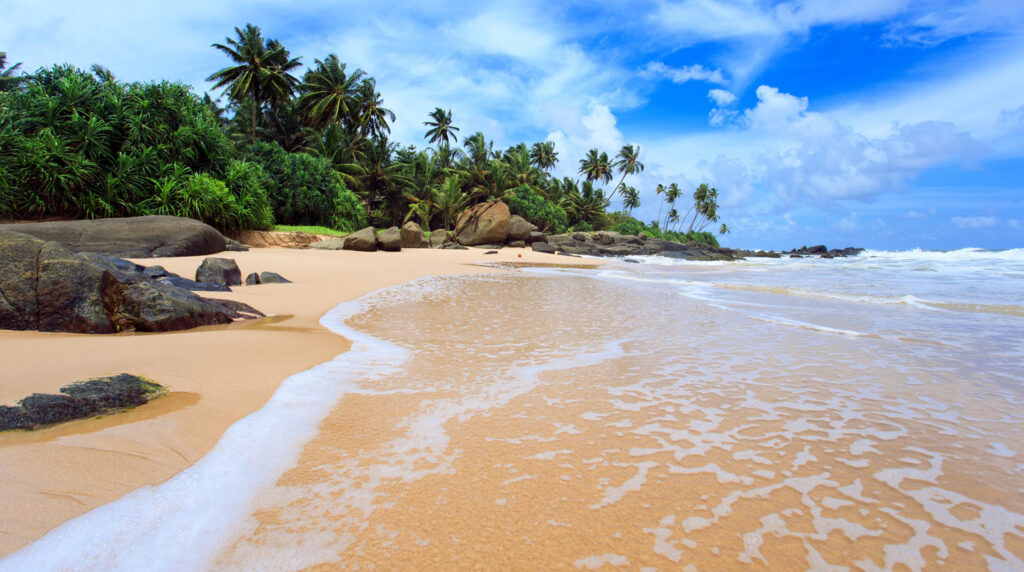 Negombo Beach