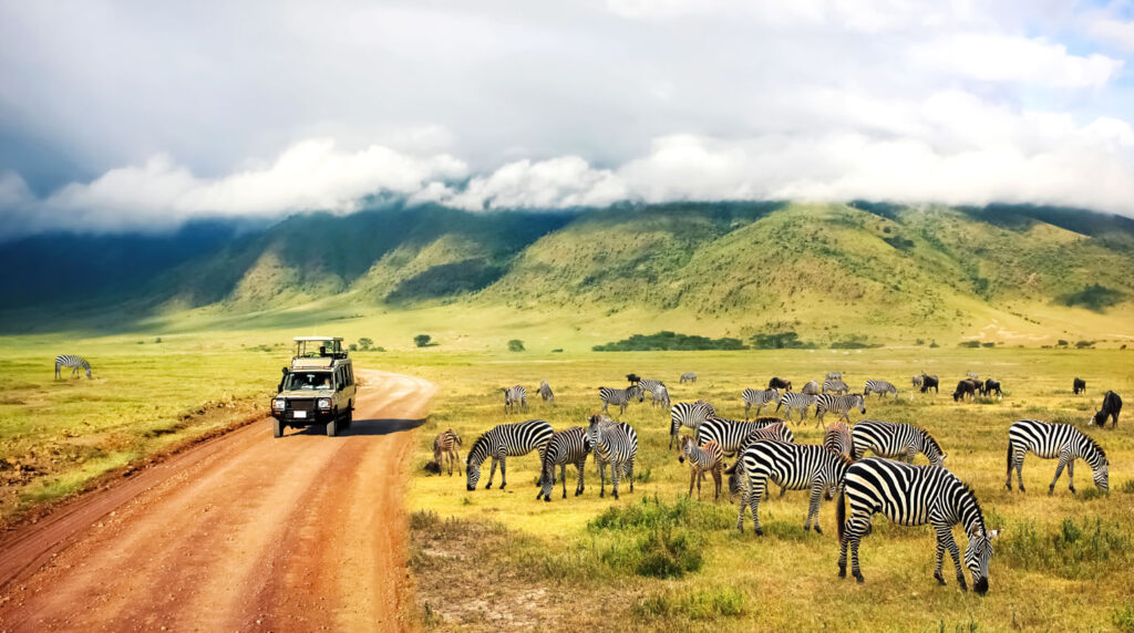 Ngorongoro Crater
