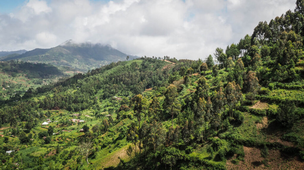 Usambara Mountains