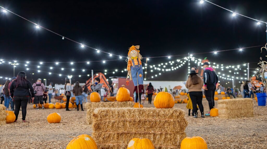 Festivals That Go Beyond the Ordinary