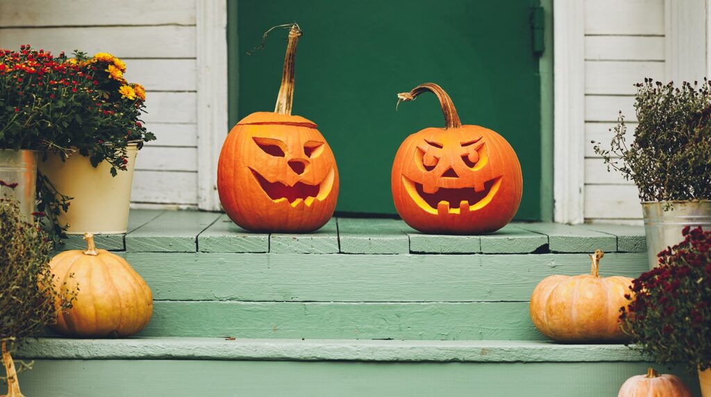 Pumpkin Patches and Corn Mazes