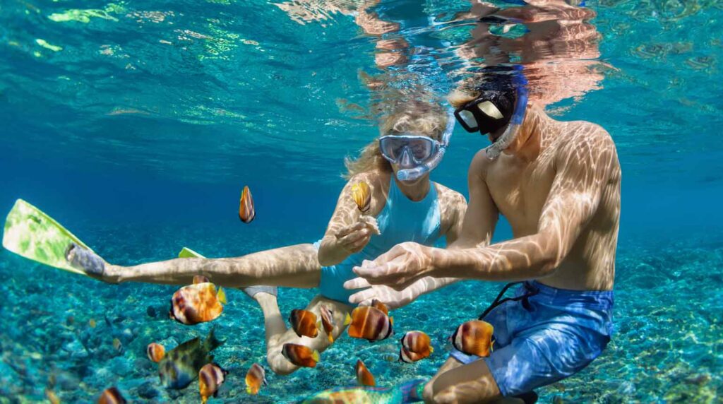 This image shows a couple snorkelling together.